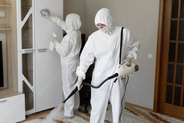 Best Mold Damage Repair  in Signal Hill, CA