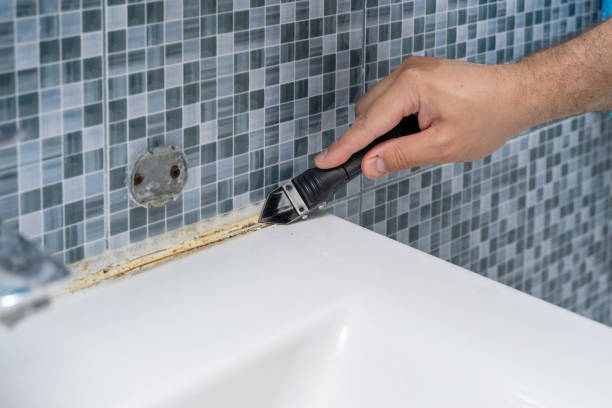 Best Same-Day Mold Removal  in Signal Hill, CA
