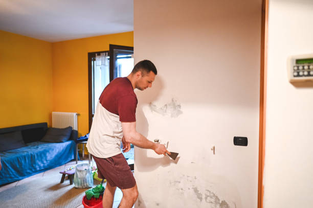 Best Black Mold Removal  in Signal Hill, CA